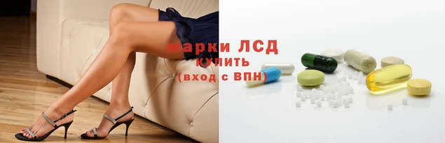 a pvp Аркадак